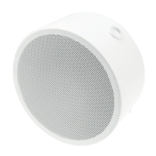Carrier EST-SW176 PAVA-CW SPK 6W, 100V, diam 17cm
