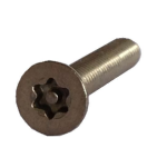 Hoyles FIX/19 Pack Of 2 Anti Tamper Screws M4 Counter Sunk Pin Torx