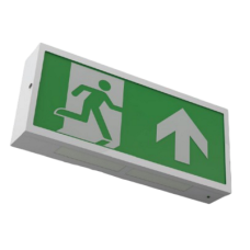Ringtail X-ES3/SL/110 LED Slave Exit Box 110V AC/DC