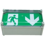 Ringtail X-ESW3/SL/50 LED Slave Weatherproof Exit Box 50V AC/DC Ringtail X-ESW3/SL/50 LED Slave Weatherproof Exit Box 50V AC/DC