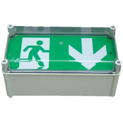 Ringtail X-ESW3/SL/110 LED Slave Weatherproof Exit Box 110V AC/DC Ringtail X-ESW3/SL/110 LED Slave Weatherproof Exit Box 110V AC/DC