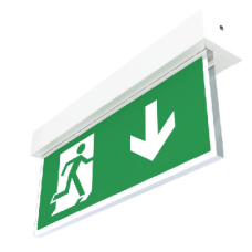 Ringtail X-MPW3/SL/110 LED Slave 110V AC/DC Wall Mounted Exit Sign – Down Arrow