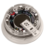 Apollo 45681-332APO Intelligent Sounder Visual Indicator Base Slow Whoop with Isolator