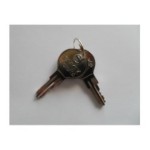 Gent S4-34499 Set of Keys for Key Switch Interface and MCP (1 Set = 2 Keys)