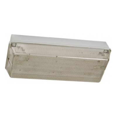 JP8 8W Maintained High Frequency IP65 Bulkhead Fitting