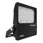 Ringtail X-FLDLP/100/M LED 100W Maintained IP65 Low Profile Floodlight