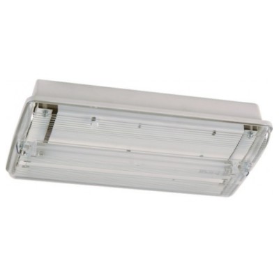 TPX 8W Maintained Curved Low Profile Bulkhead (Self Test Available) IP55