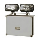 TSW High Output Non Maintained Weatherproof 2 x 20W Polycarbonate Tungsten Halogen Twin Spot (3 Hour)