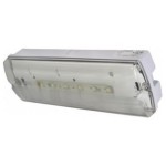 Ringtail X-CS3M LED Maintained Self-Testing Bulkhead IP65 Ringtail X-CS3M LED Maintained Self-Testing Bulkhead IP65