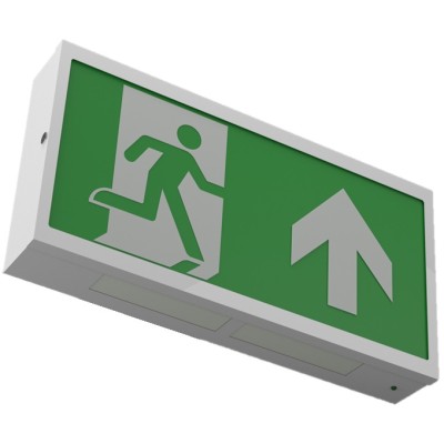 Ringtail X-ES LED 3 Hour Maintained Self Test Exit Box (X-ES3M/ST) Ringtail X-ES LED 3 Hour Maintained Self Test Exit Box (X-ES3M/ST)