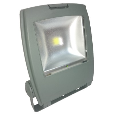 Ringtail 50W Maintained IP65 LED Flood Light (X-RT/FLDLP/50/M) Ringtail 50W Maintained IP65 LED Flood Light (X-RT/FLDLP/50/M)